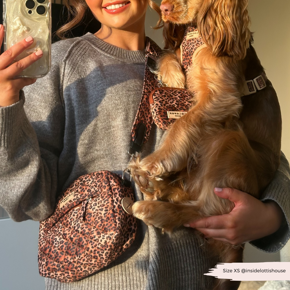 Hundetasche - Gestepptes Leopardenwelpe