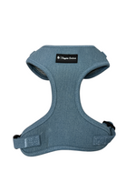 Chill in jeans Vollbrustgeschirr