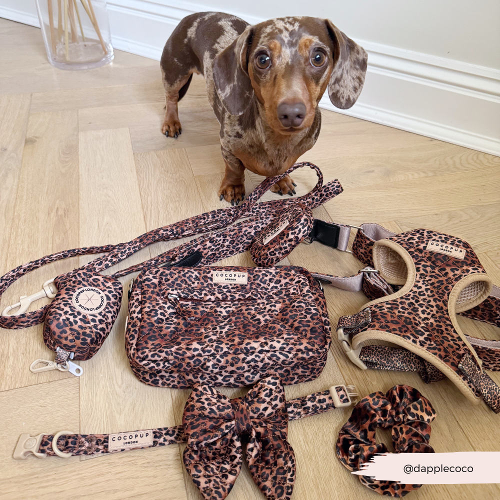 Hundetasche - Gestepptes Leopardenwelpe