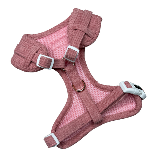 Autumn blush Vollbrustgeschirr