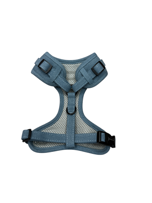 Chill in jeans Vollbrustgeschirr