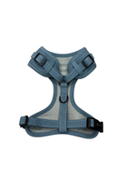 Chill in jeans Vollbrustgeschirr