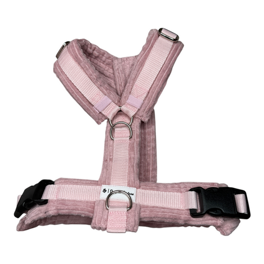 Autumn blush Y-Brustgeschirr