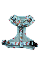 Chill tails & turtels Vollbrustgeschirr