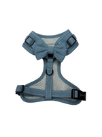 Chill in jeans Vollbrustgeschirr