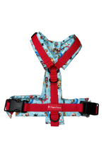 Chill tails & turtels Y-Brustgeschirr