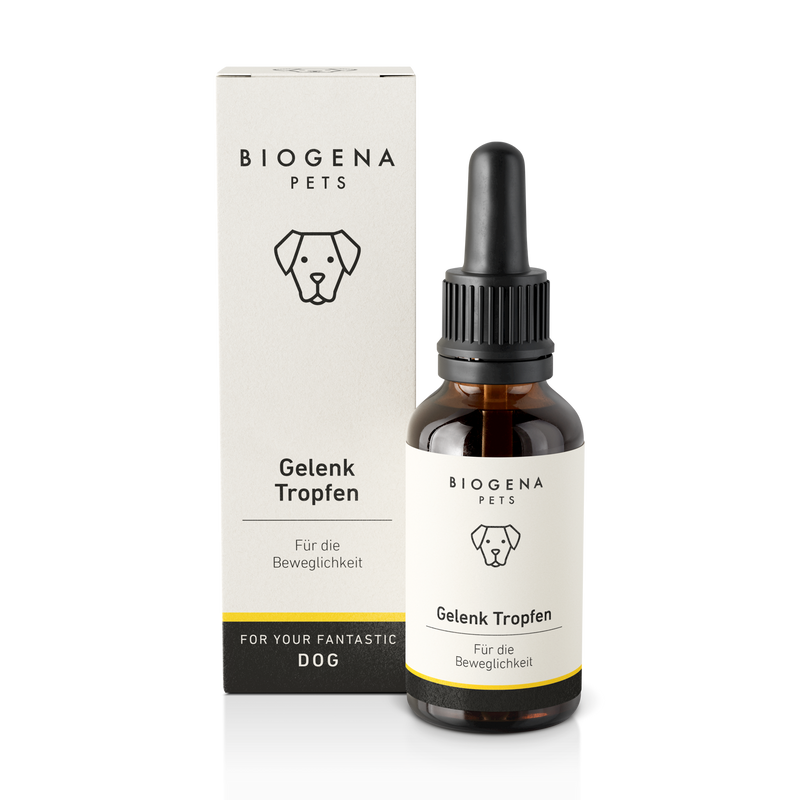 Gelenke Tropfen