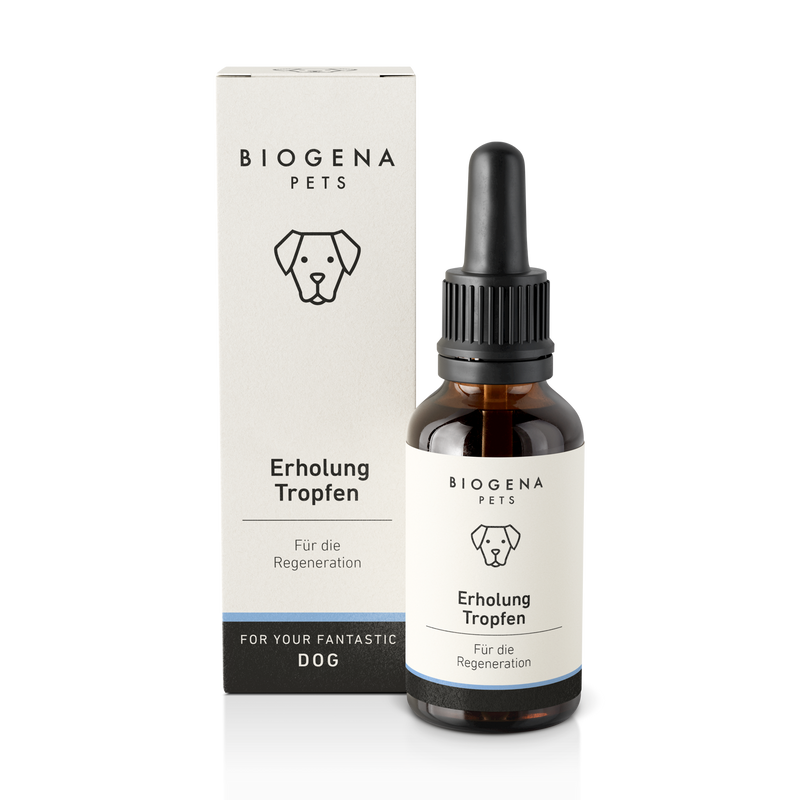 Erholungs Tropfen