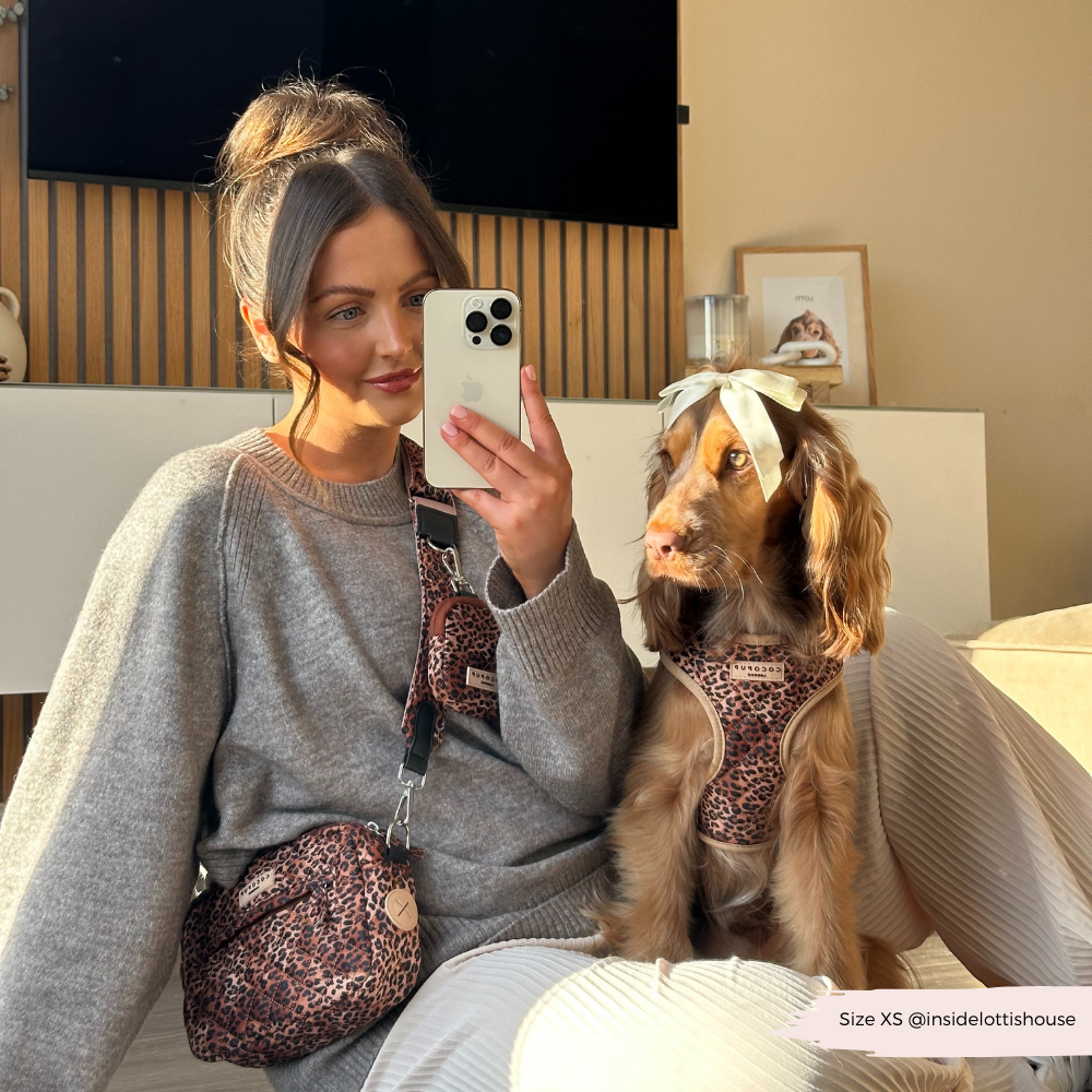 Hundetasche - Gestepptes Leopardenwelpe