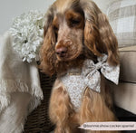 Cocopup Brustgeschirr Garden Meadow - doggiescouture.at