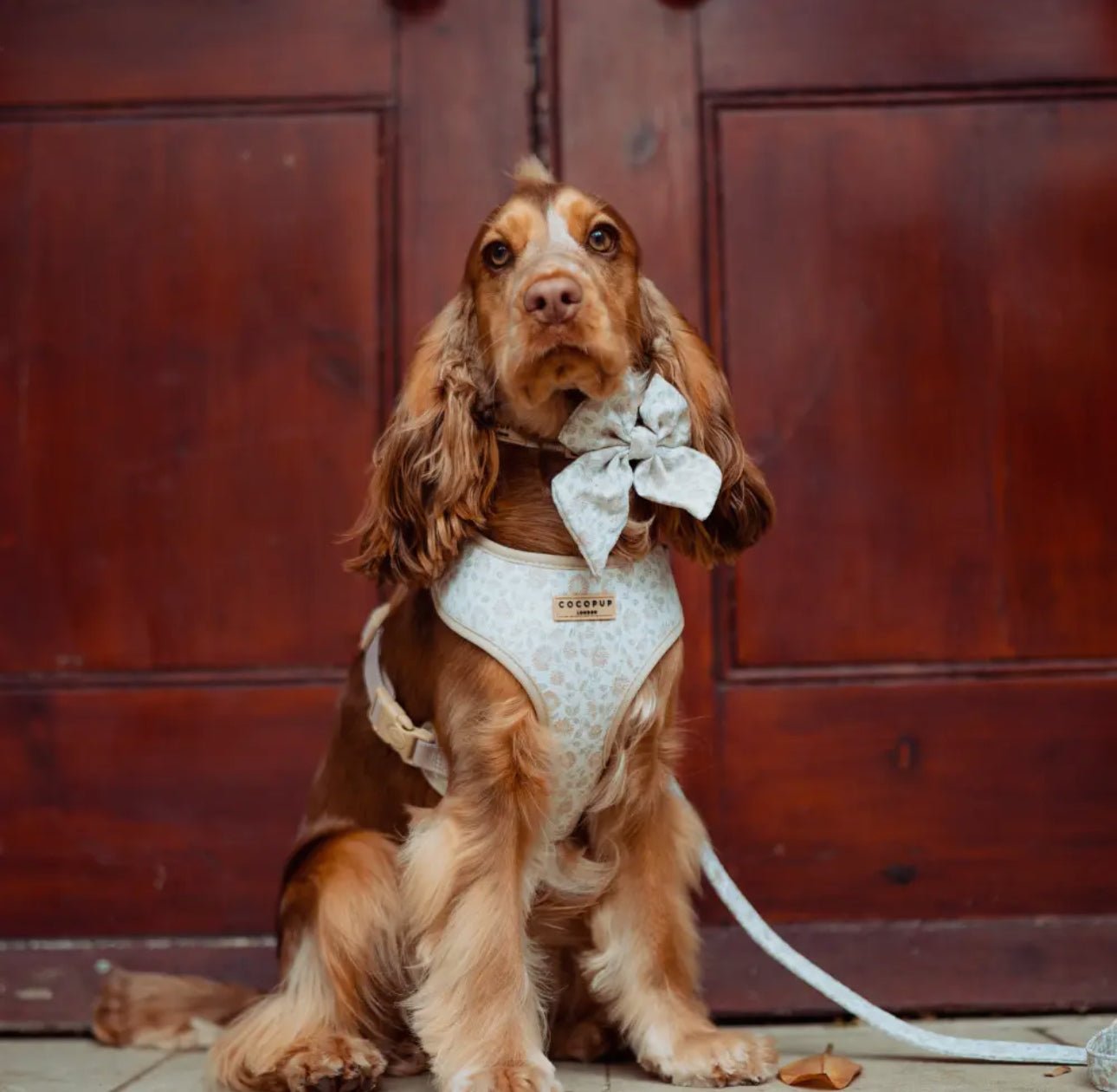 Cocopup Brustgeschirr Garden Meadow - doggiescouture.at
