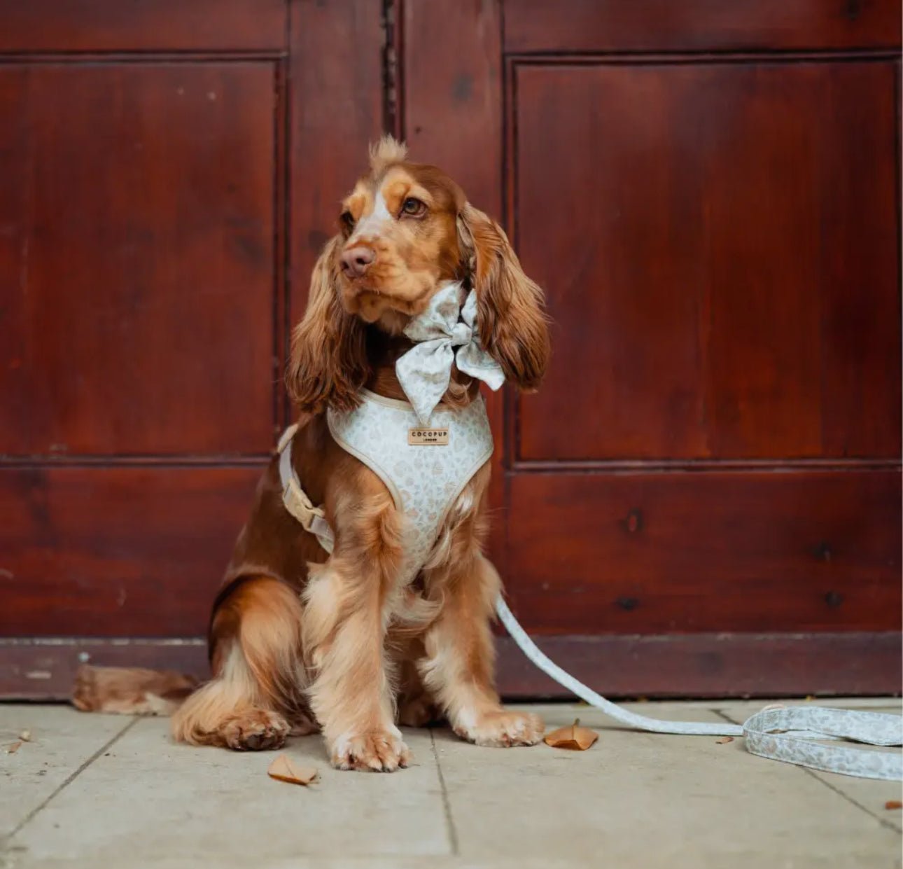 Cocopup Garden Meadow Leine - doggiescouture.at