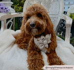 Cocopup Halsband und Brustgeschirrblume Garden Meadow - doggiescouture.at