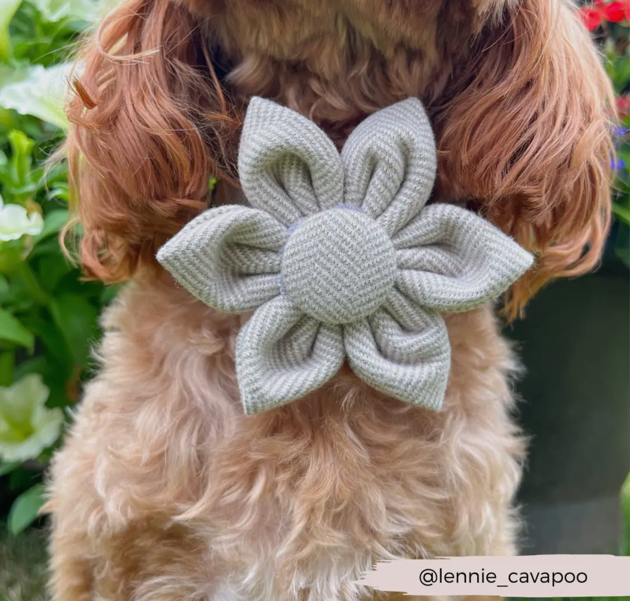 Cocopup Halsband und Geschirrblume brown Tweed - doggiescouture.at