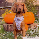 Cocopup Puppuccino Brustgeschirr - doggiescouture.at