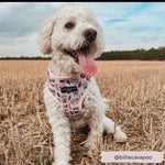 Cocopup Puppuccino Brustgeschirr - doggiescouture.at