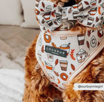 Cocopup Puppuccino Brustgeschirr - doggiescouture.at