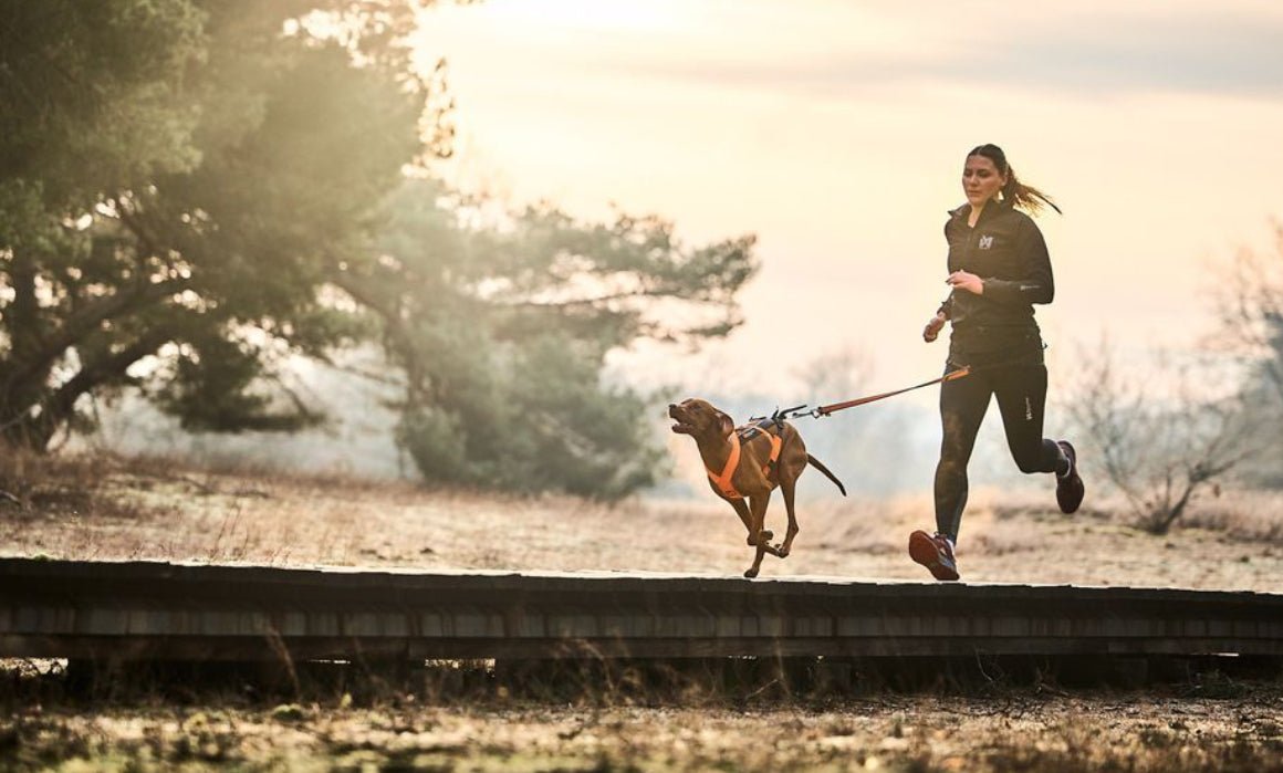 Freemotion Harness 5.0 - doggiescouture.at