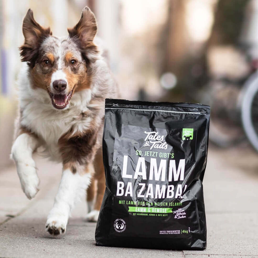 LammBa Zamba! - doggiescouture.at