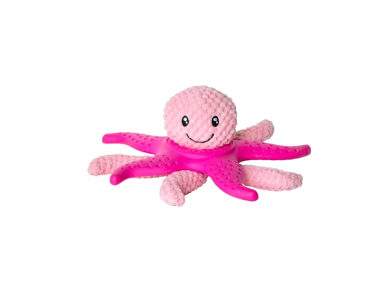 Let's play! OCTOPUS & STARFISH