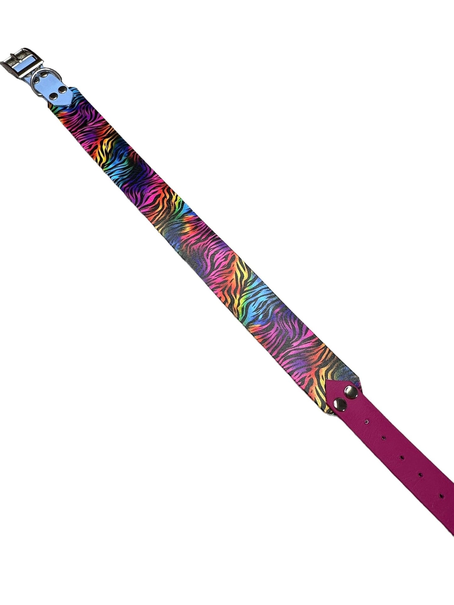 Neon tiger - doggiescouture.at