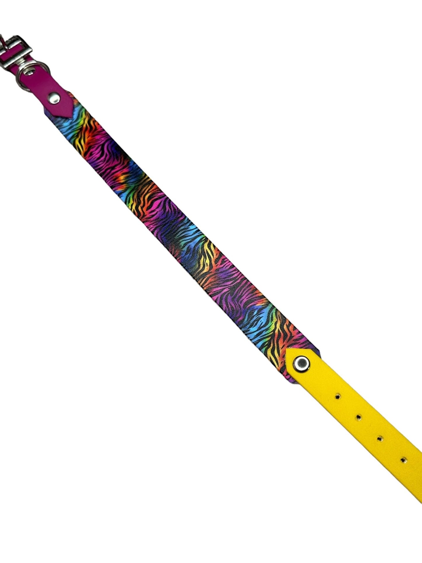 Neon tiger - doggiescouture.at
