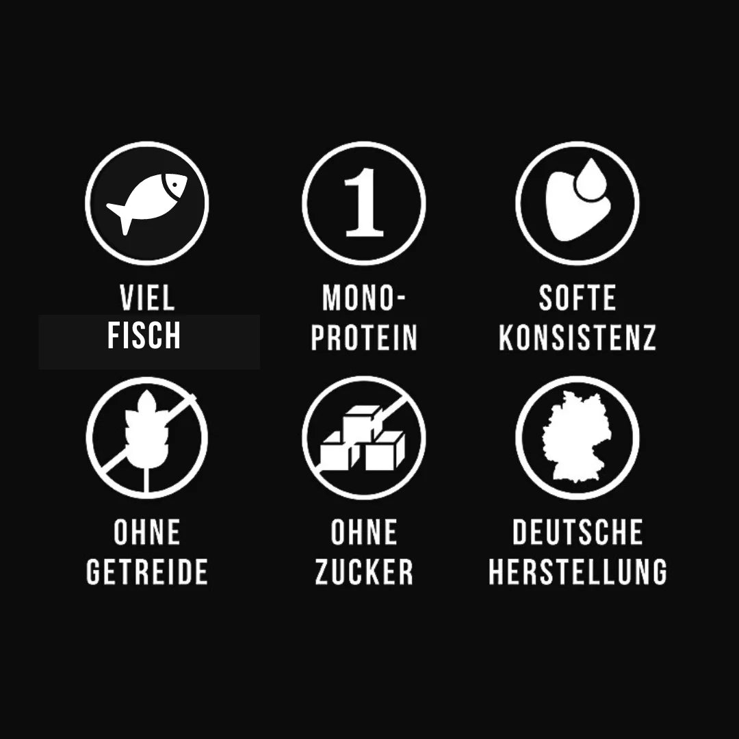 Noch ganz Fisch im Kopp? - doggiescouture.at