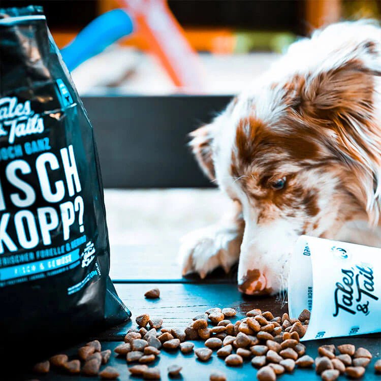 Noch ganz Fisch im Kopp? - doggiescouture.at