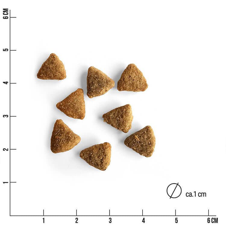 Noch ganz Fisch im Kopp? - doggiescouture.at