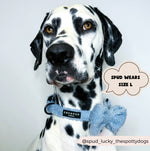 Teddyhalsband - Daydream - doggiescouture.at