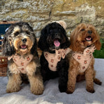 Theo Bestickte Teddy - Sailor - Fliege - doggiescouture.at