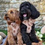 Theo Bestickte Teddy - Sailor - Fliege - doggiescouture.at