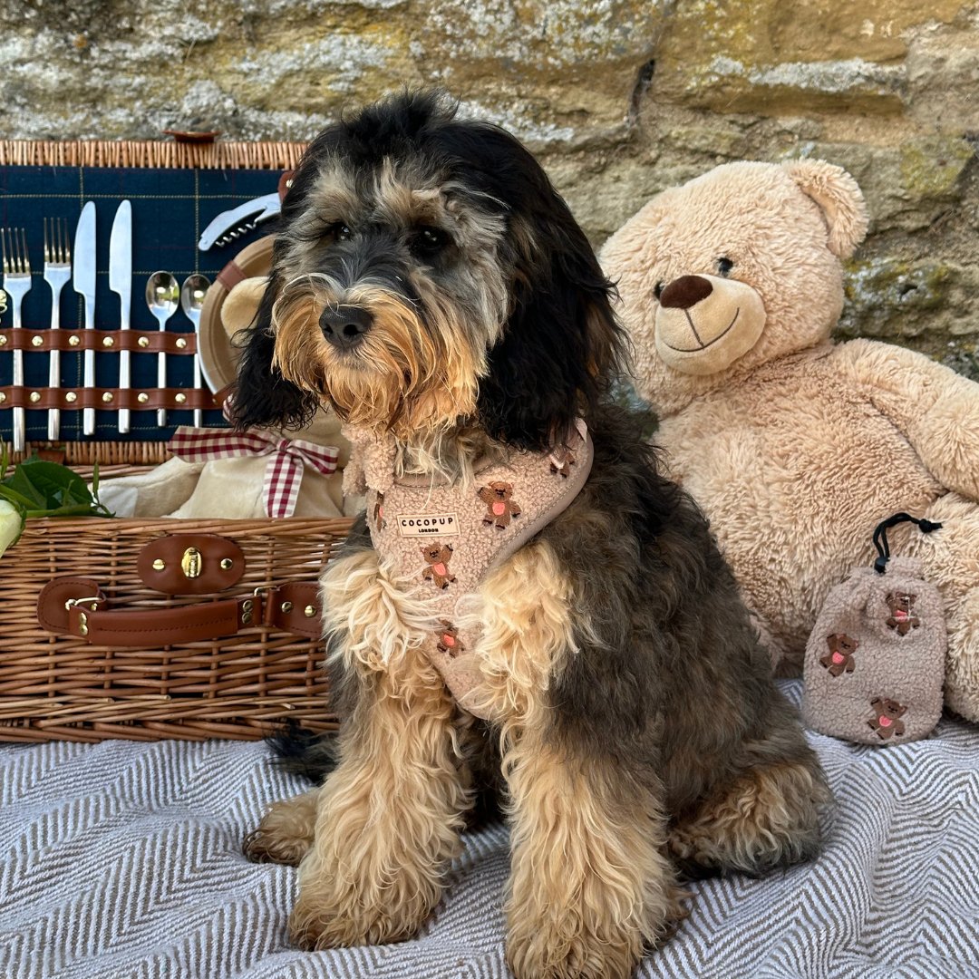 Theo verstellbarer Halsgurt mit Stickerei Teddy - doggiescouture.at