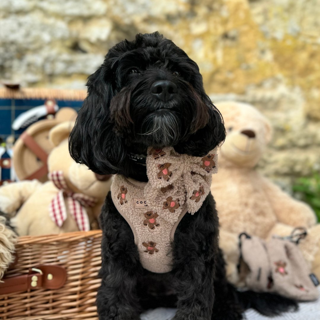 Theo verstellbarer Halsgurt mit Stickerei Teddy - doggiescouture.at