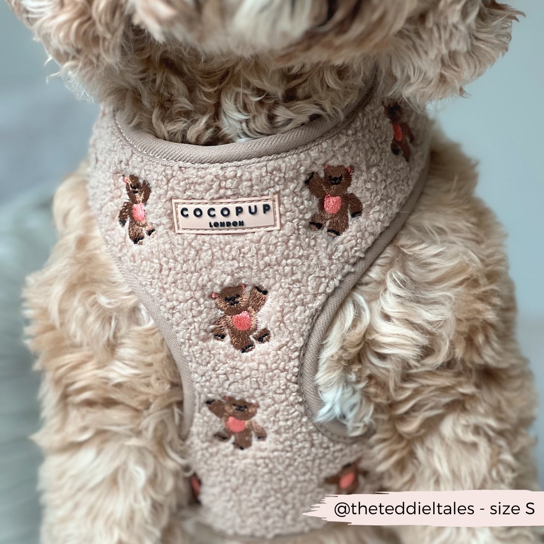 Theo verstellbarer Halsgurt mit Stickerei Teddy - doggiescouture.at
