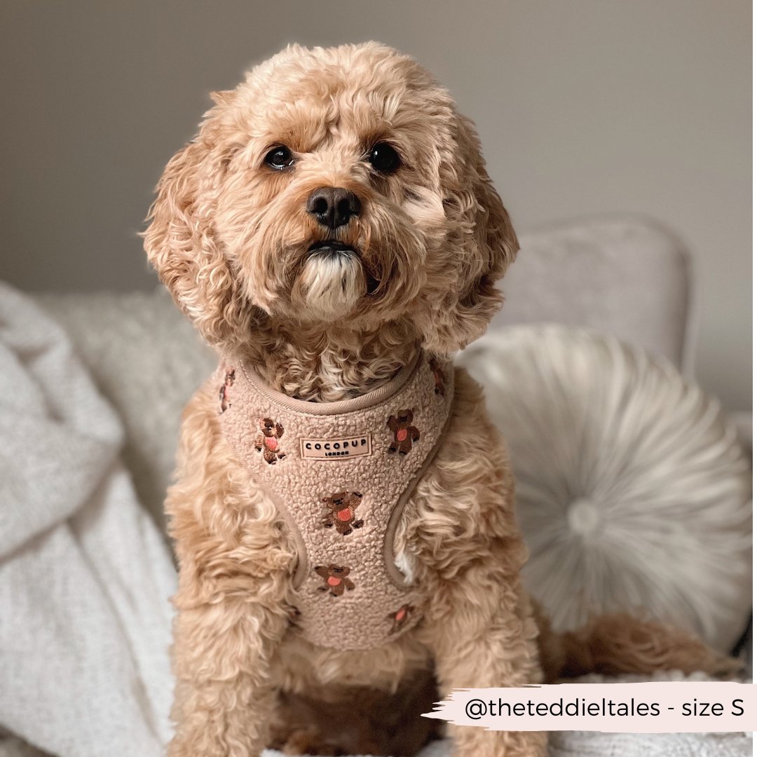 Theo verstellbarer Halsgurt mit Stickerei Teddy - doggiescouture.at