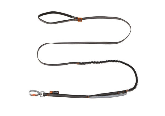 Touring Bungee Leash Adjustable - doggiescouture.at
