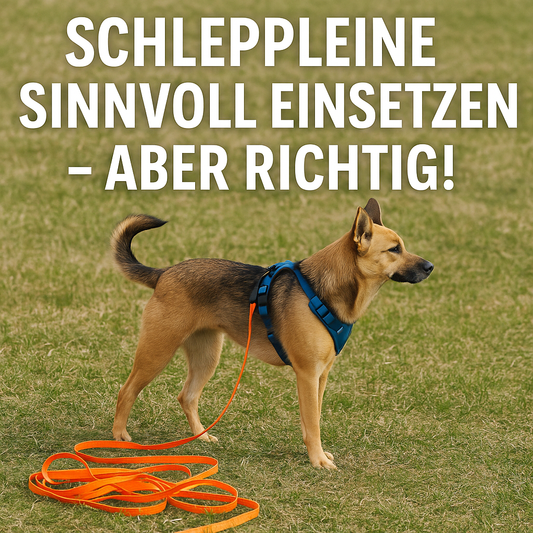 Schleppleine sinnvoll einsetzen – aber richtig!