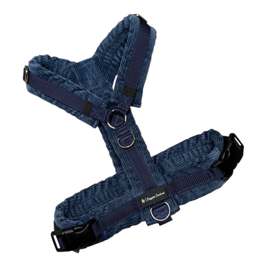 Cordgeschirr Jeansblau