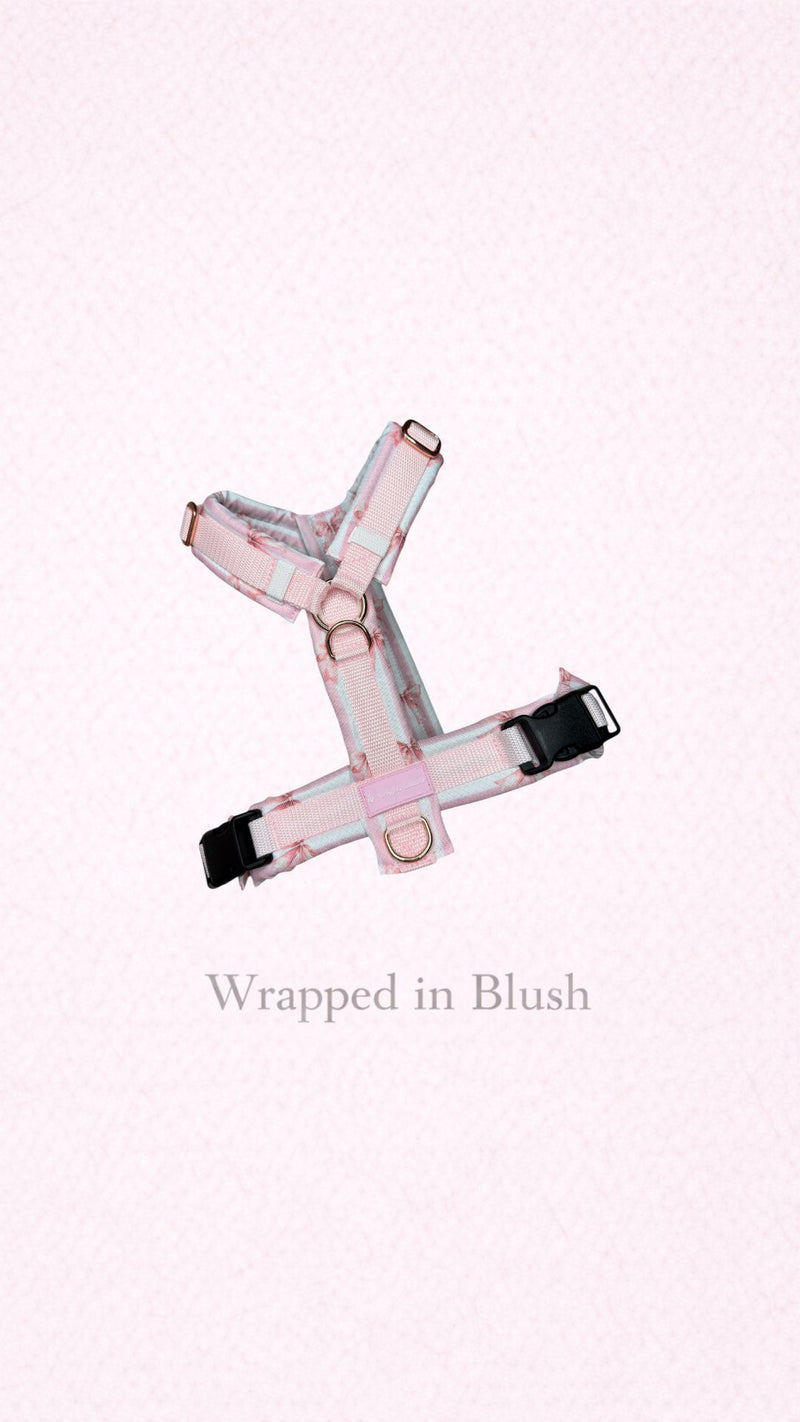 Wrapped in Blush Y-Brustgeschirr