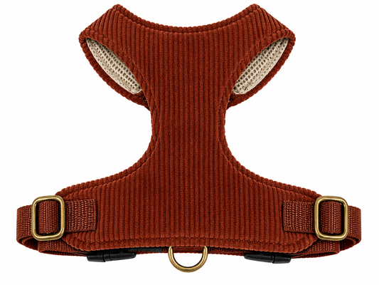 Cord Brown Elegance Vollbrustgeschirr 2.0