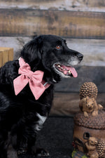 Autumn blush sailor bow