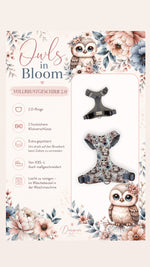 Owls in bloom Vollbrustgeschirr 2.0