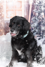 Frosted Mint Halsband deluxe