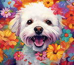Gobelet 20oz Breed Splash (AV)