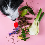 Chillout Drops Tierliebhaber