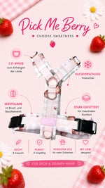 Pick me berry Y-Brustgeschirr