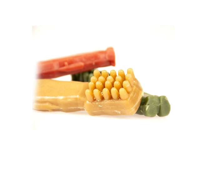 Garden Bites Toby Toothbrush