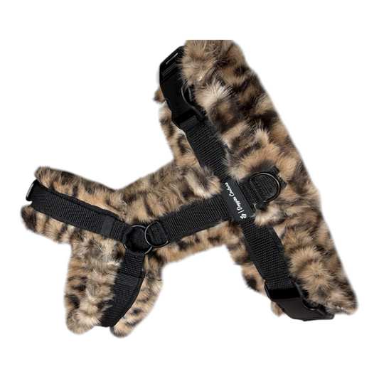 Sankt Pawritz Brustgeschirr deluxe