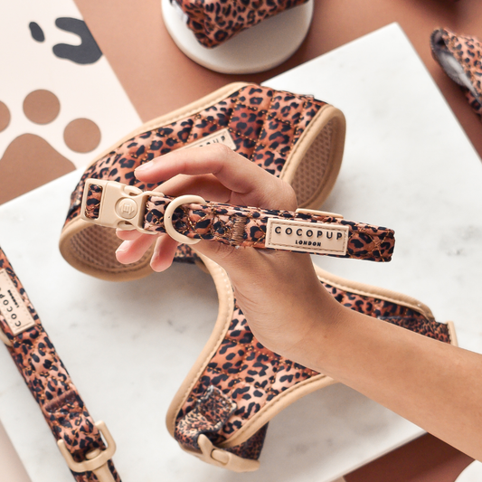 Gestepptes Leopardenwelpenhalsband